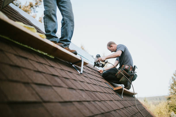 Best Storm Damage Roof Repair  in Bolivar, OH
