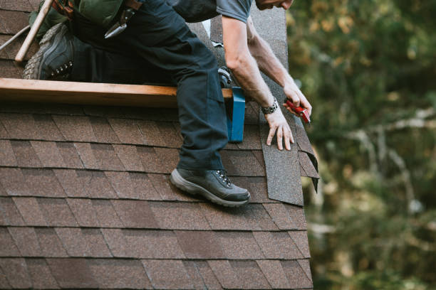Best Storm Damage Roof Repair  in Bolivar, OH